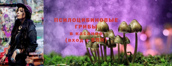меф Мегион