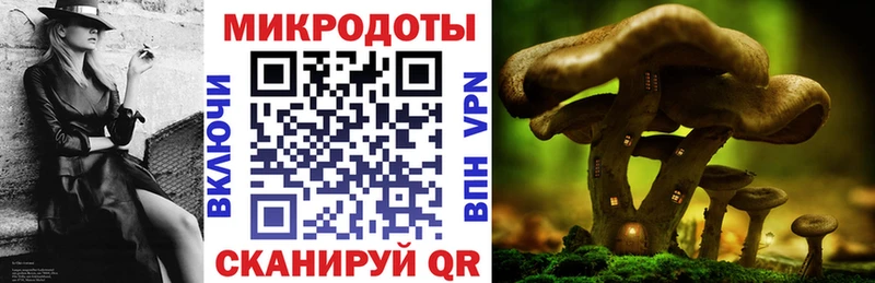 МЕГА как зайти  купить наркотики сайты  Белокуриха  Галлюциногенные грибы прущие грибы 